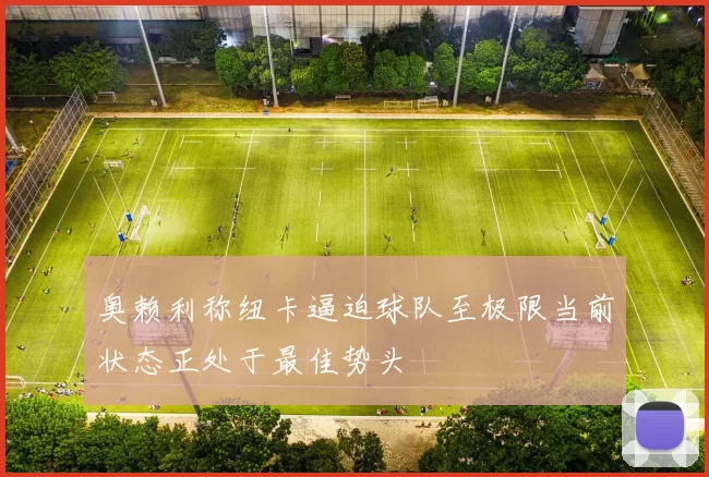 奥赖利称纽卡逼迫球队至极限当前状态正处于最佳势头